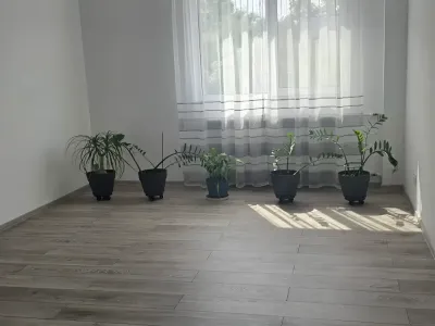 camera cu plante apartament vanzare cumparare Sector 3, București